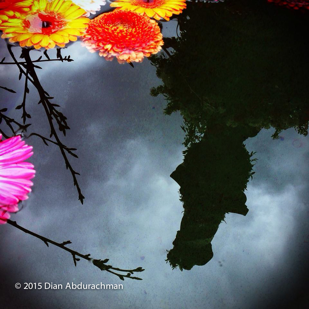 flowerreflection